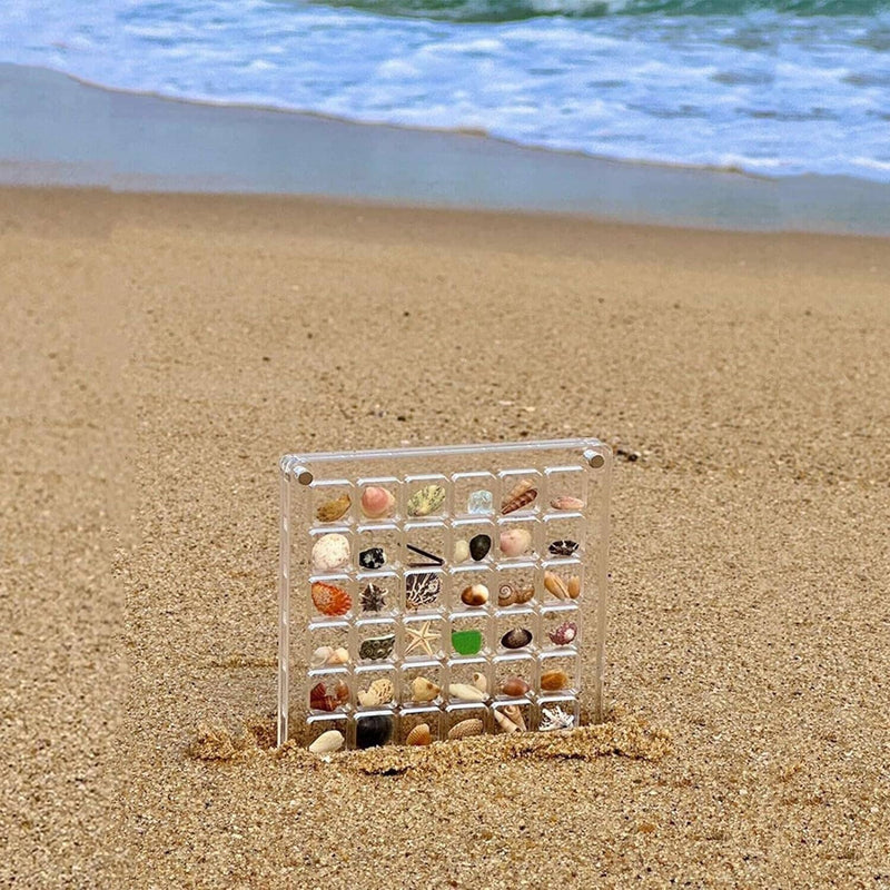 Acrylic Magnetic Seashell Display Box