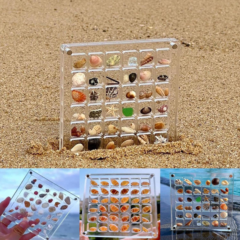 Acrylic Magnetic Seashell Display Box